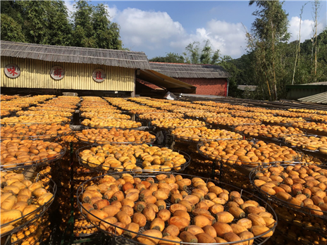 味衛佳柿餅教育農園